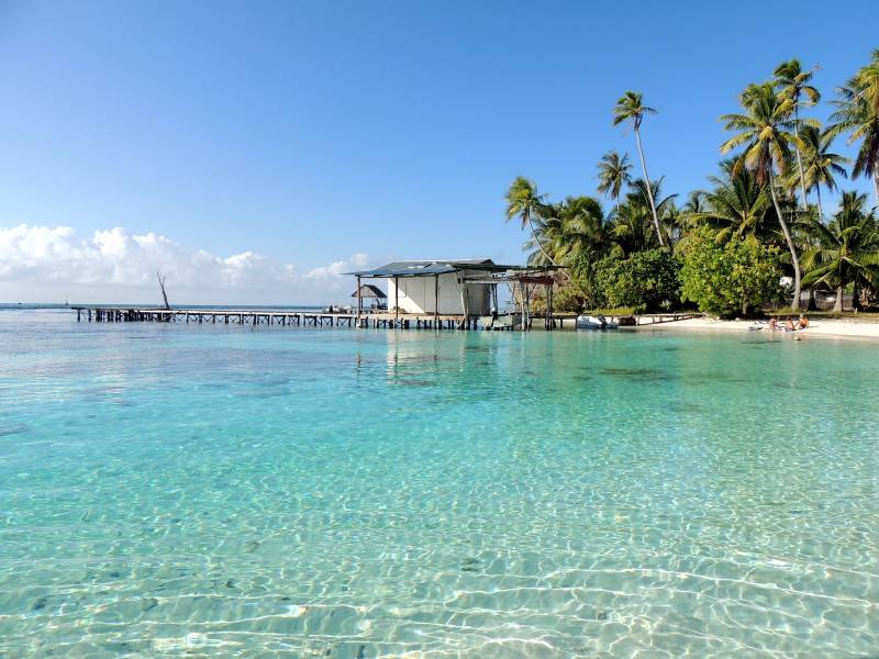 La Polynésie française, une destination de rêve pour faire de la plongée
