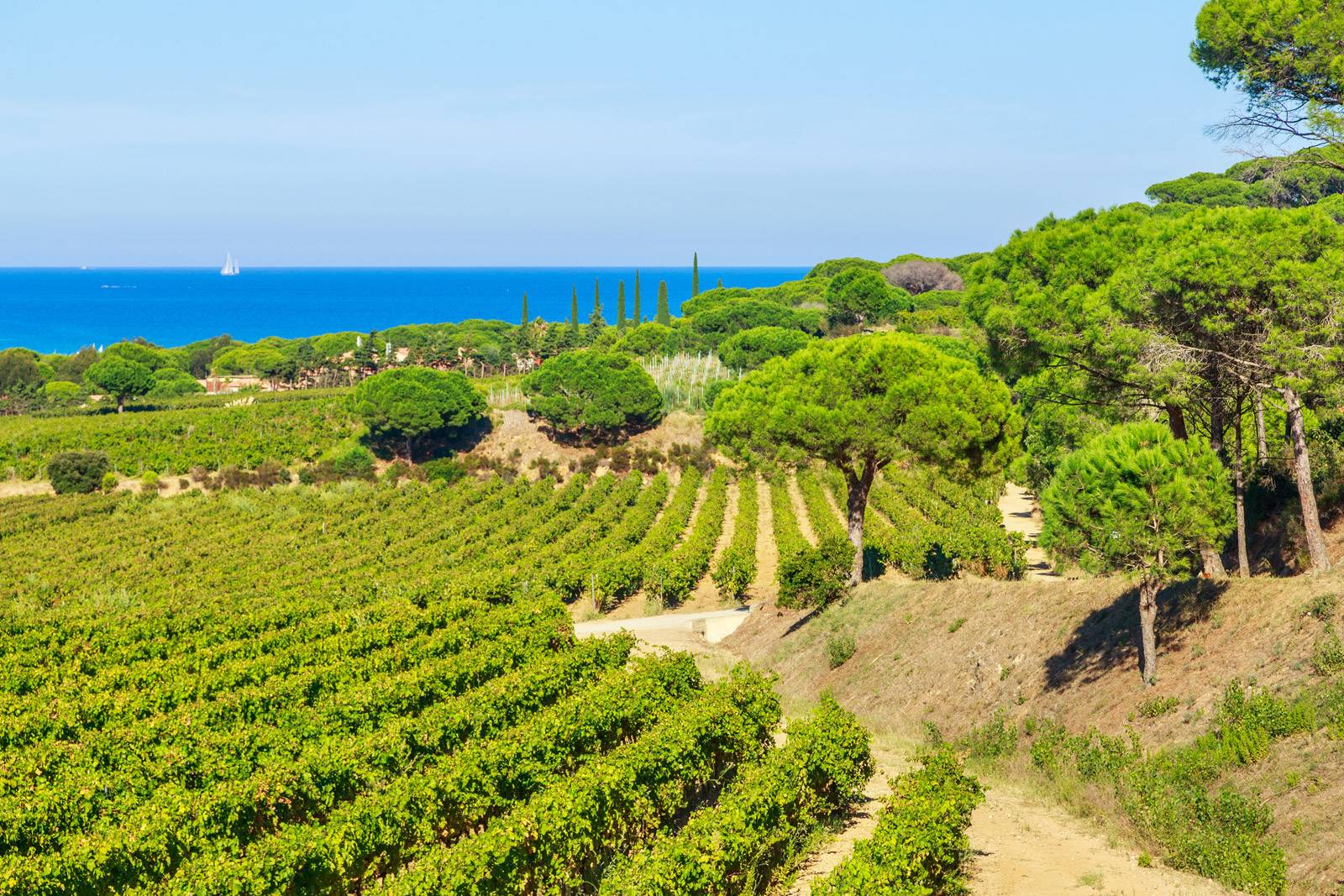 Agence immobilière de prestige à Saint-Tropez et Cavalaire-sur-Mer | Robin's Real Estate