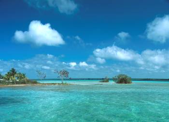 Véhicule de tourisme avec chauffeur Marseille Taxi Sud VTC