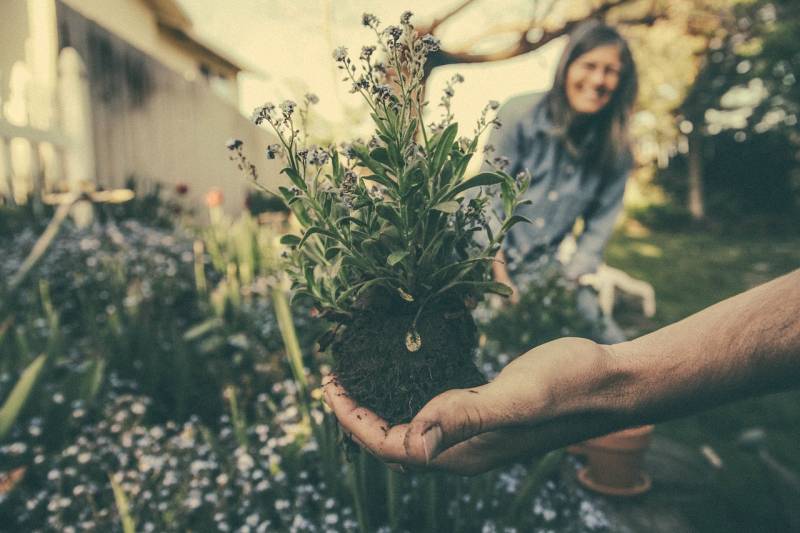 Entretien de jardins et espaces verts pour propriétés de standing à Marseille Chiffonnette & Services