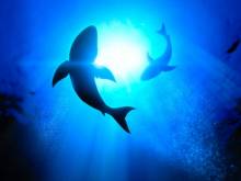 Notre zone d'activité pour ce service belles demeures à rénover pour investissement