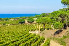 Nos prestations sur le secteur de Marseille 13007